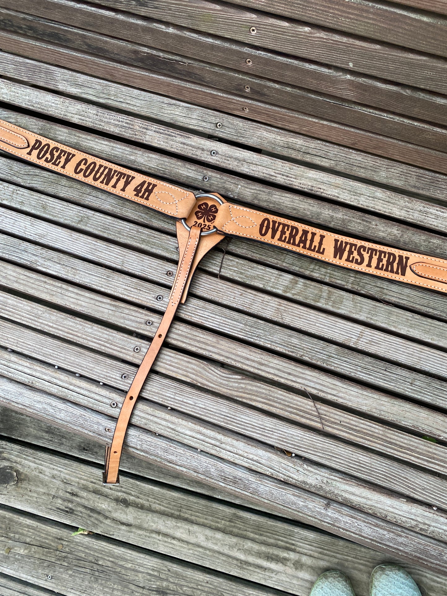 custom engraved western breast collar displayed as a trophy award