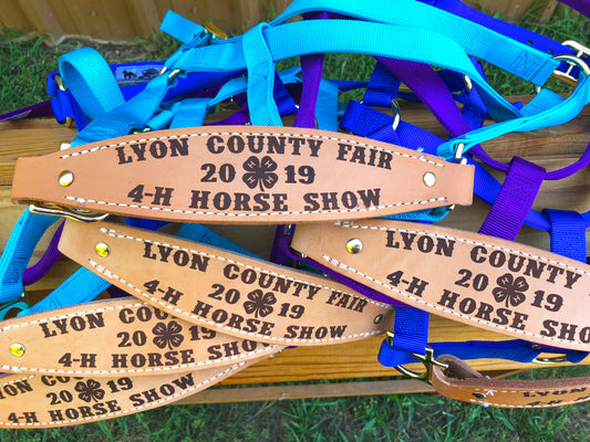 Classic Bronc Halter with Custom Laser Engraved Leather Noseband