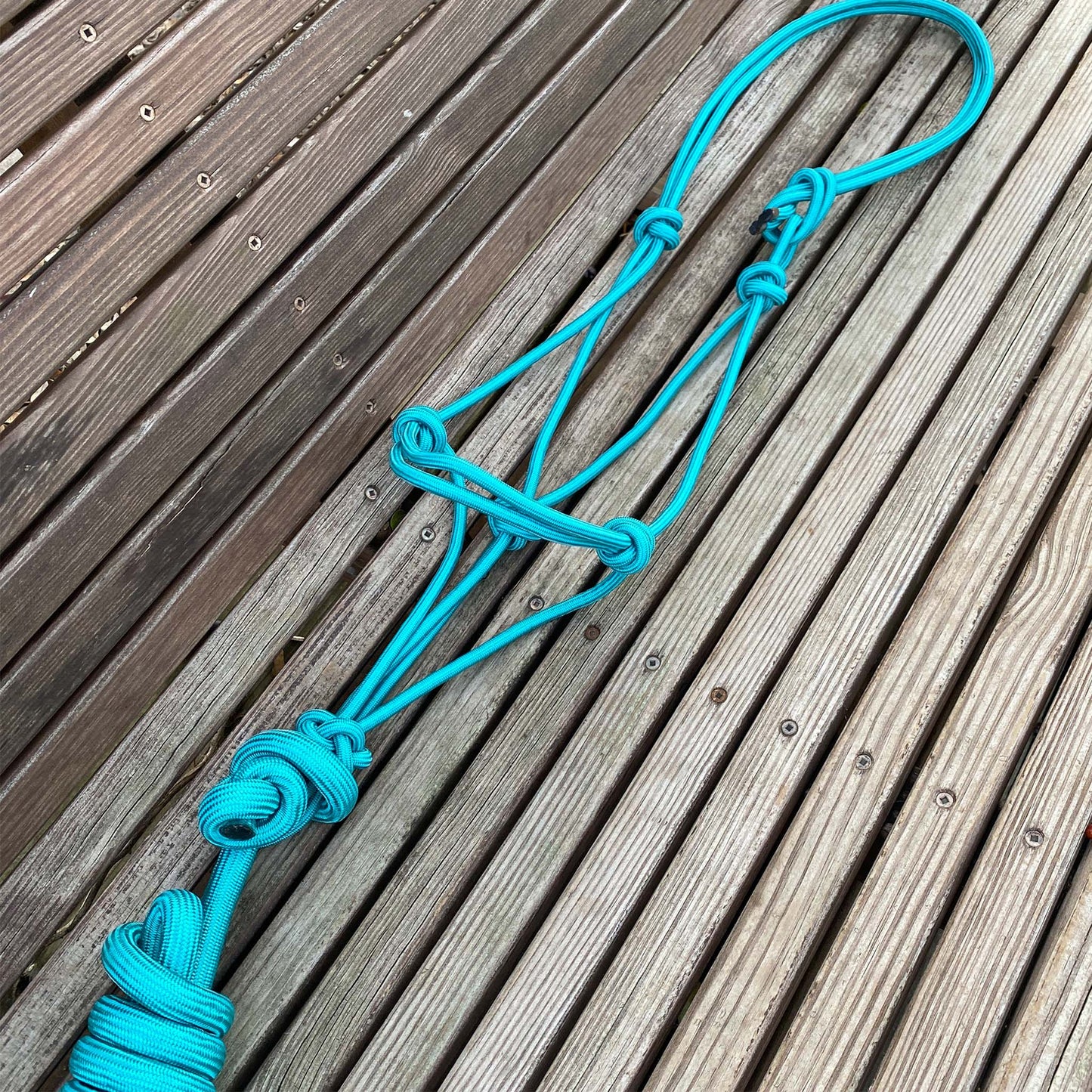Custom Trophy Rope Bronc Halter with Personalized Leather Noseband