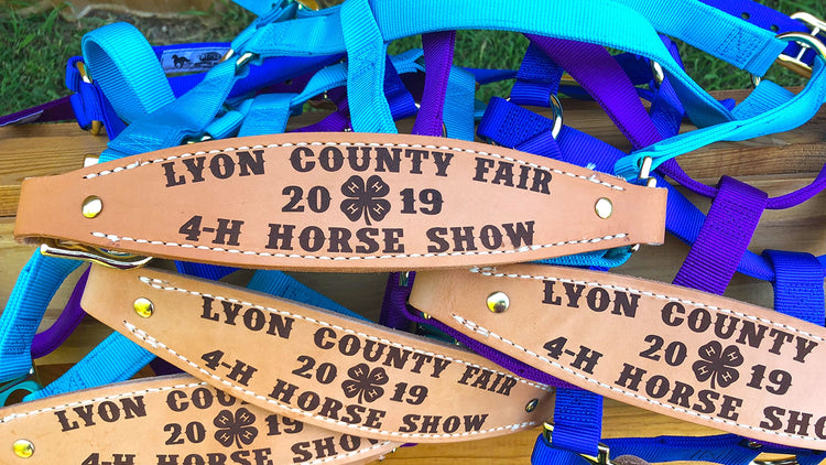 Nylon Web Bronc Halters