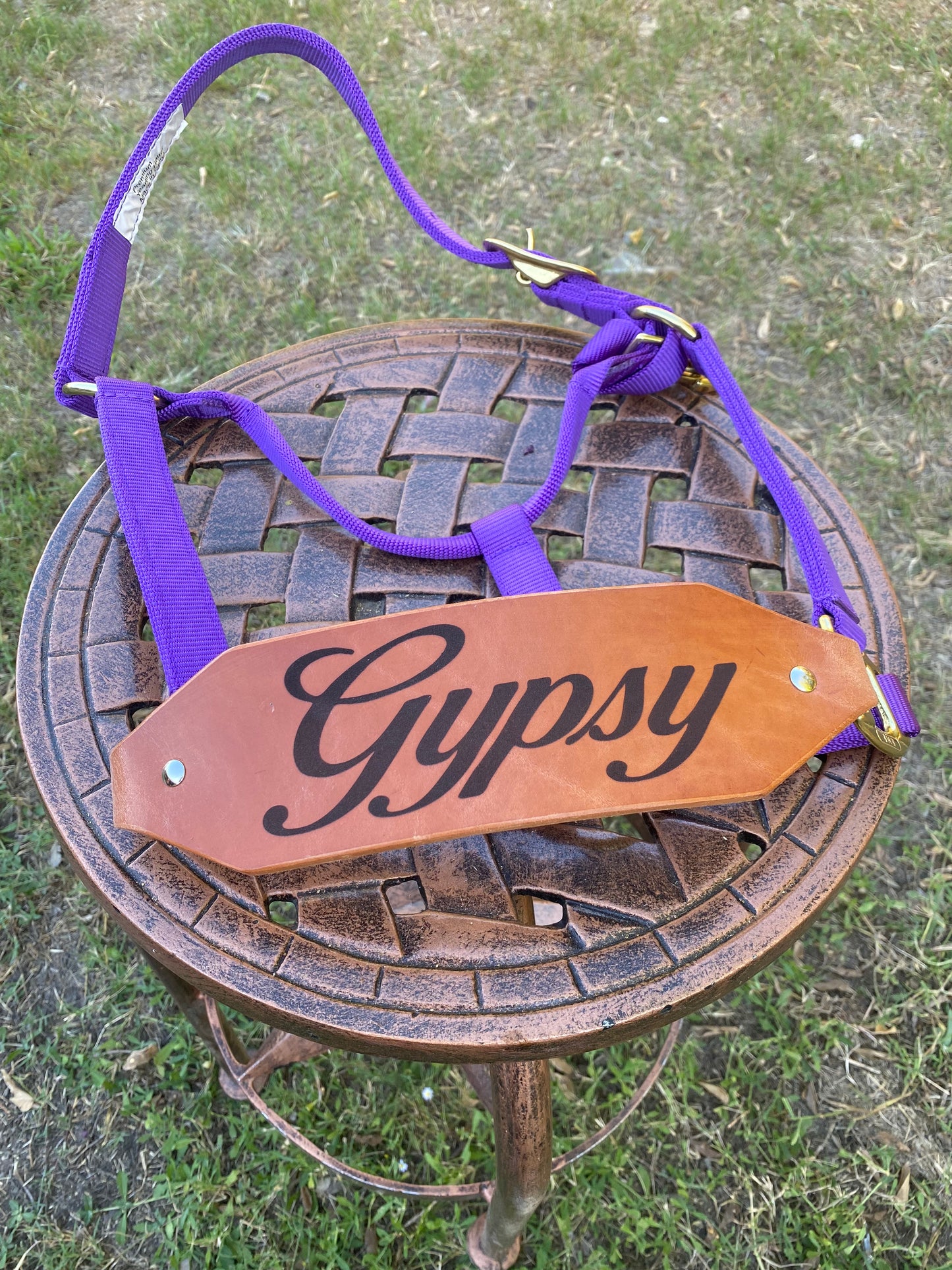 Classic Bronc Halter with Custom Laser Engraved Leather Noseband