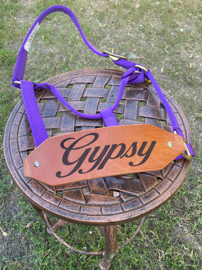 Classic Bronc Halter with Custom Laser Engraved Leather Noseband