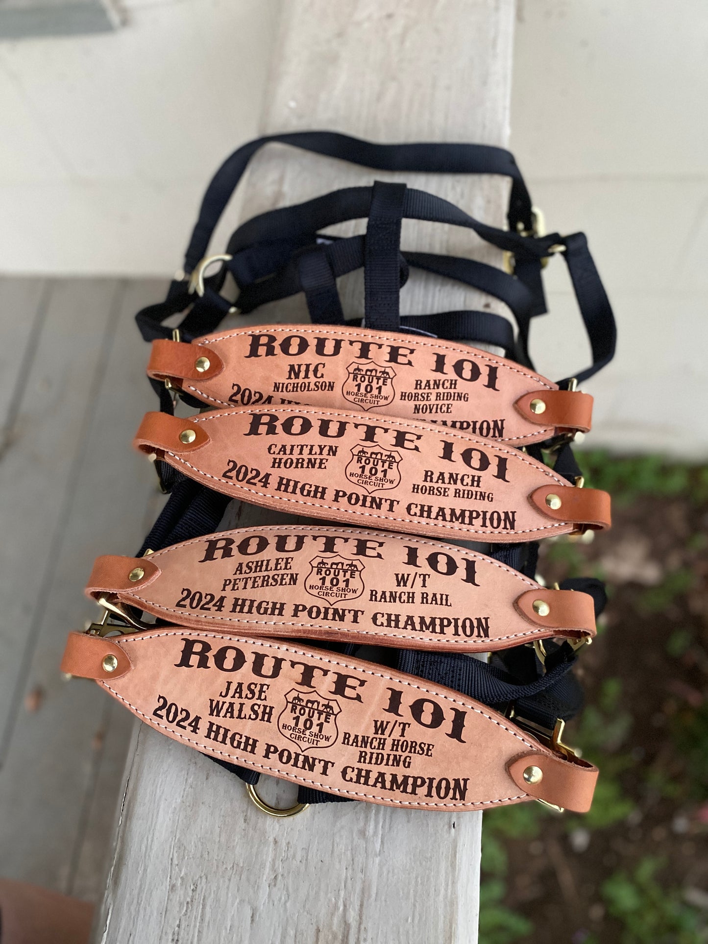 Classic Bronc Halter with Custom Laser Engraved Leather Noseband