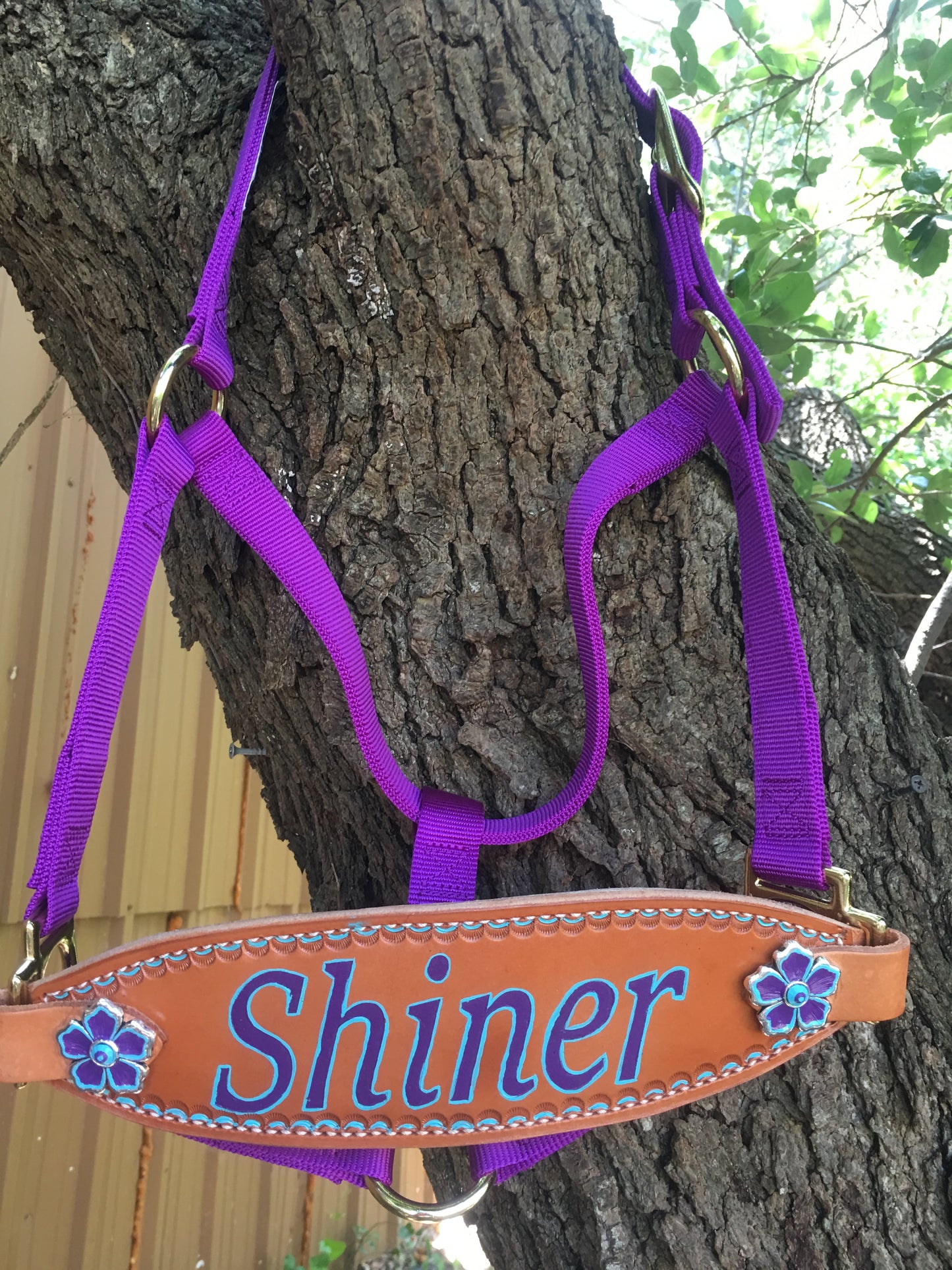 Classic Bronc Halter with Custom Laser Engraved Leather Noseband