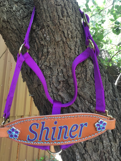 Classic Bronc Halter with Custom Laser Engraved Leather Noseband