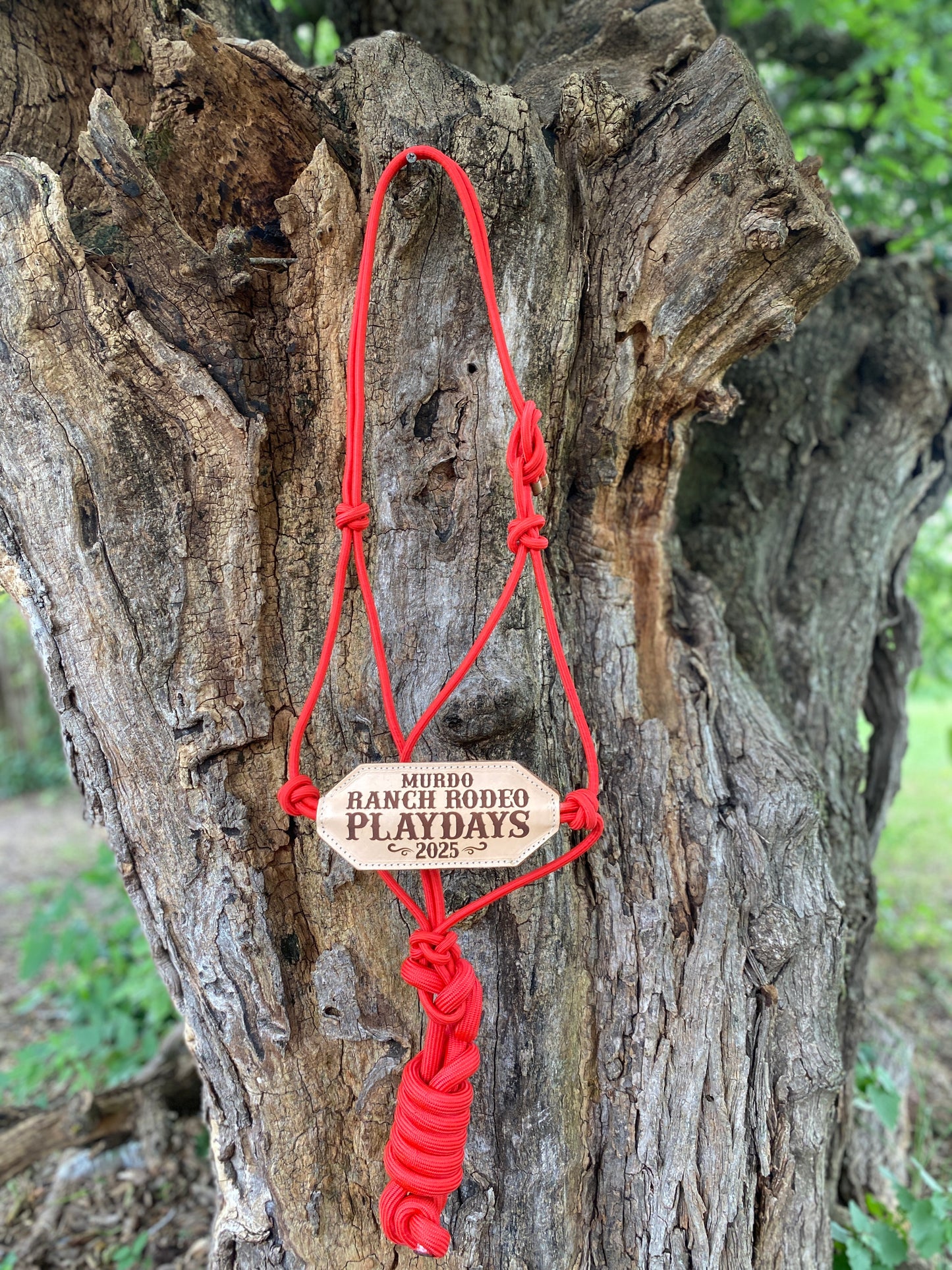 Custom Trophy Rope Bronc Halter with Personalized Leather Noseband