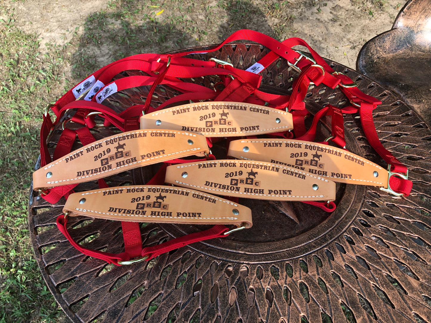 Classic Bronc Halter with Custom Laser Engraved Leather Noseband