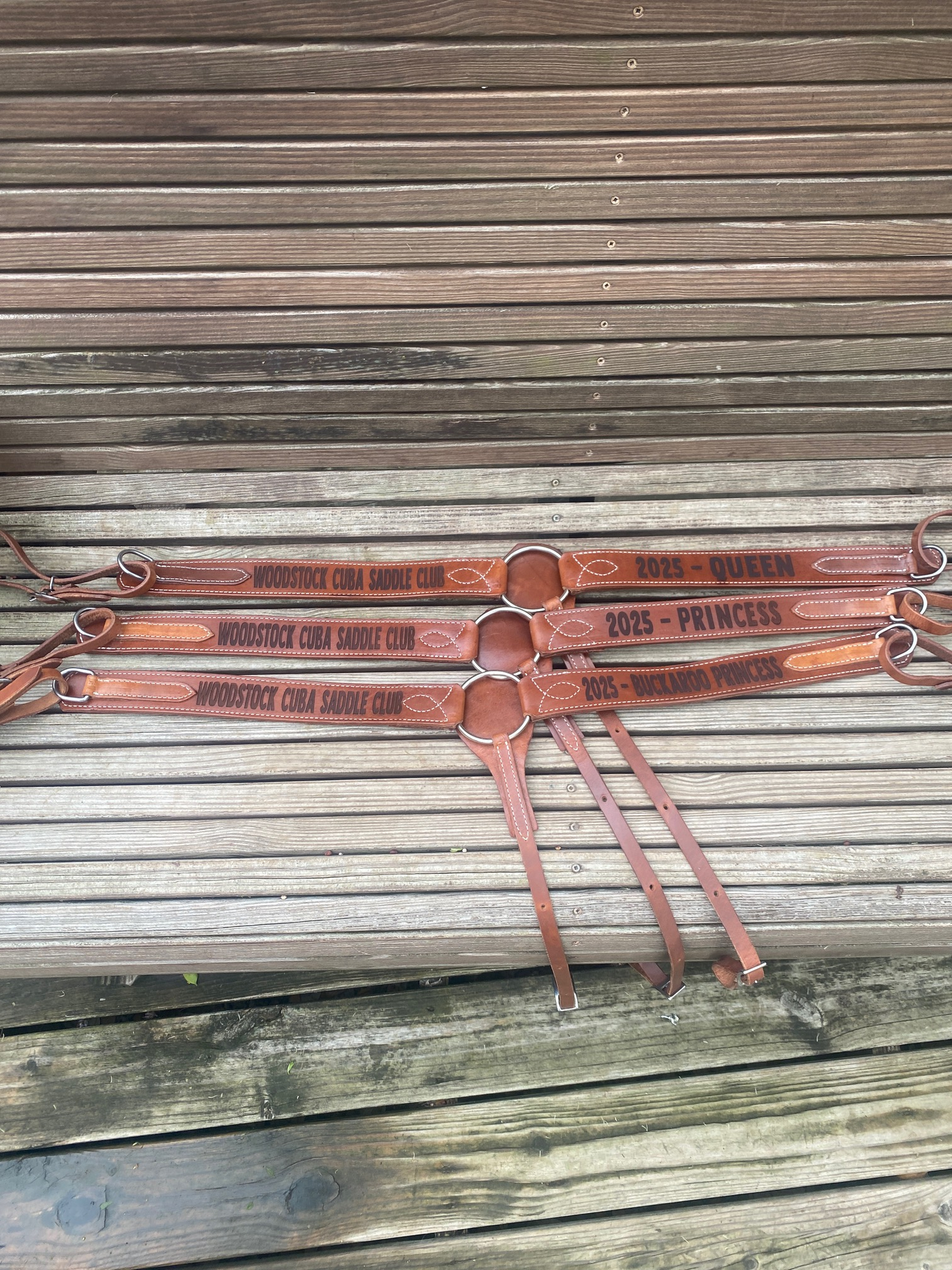 Custom Laser Engraved Economy Trophy Breast Collar