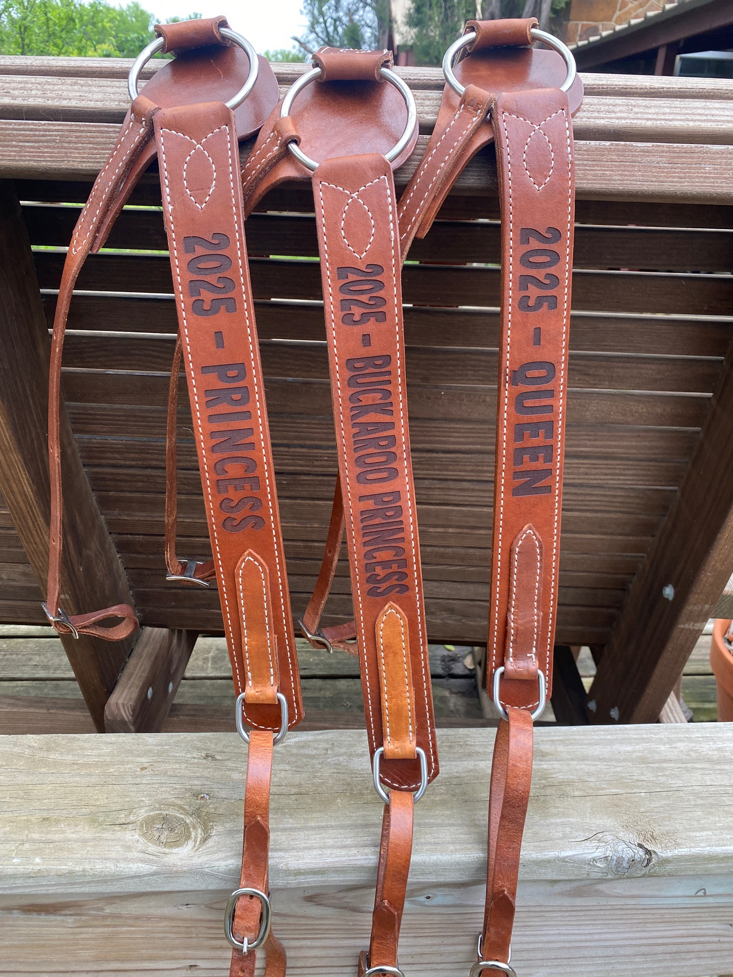 Custom Laser Engraved Economy Trophy Breast Collar